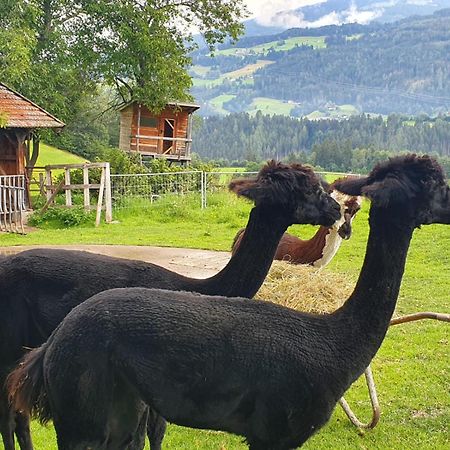 Tuschnhof Apartman Rinn Kültér fotó